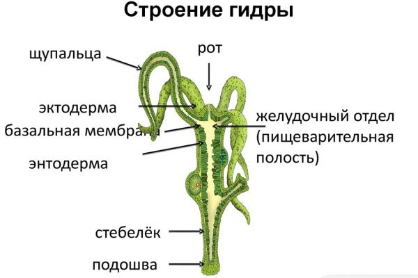 Кракен не приходят деньги