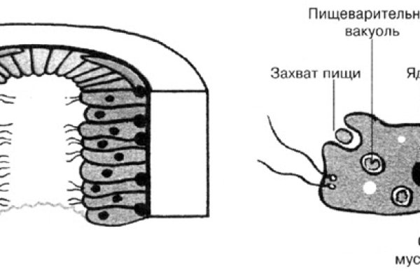 Доступ кракен