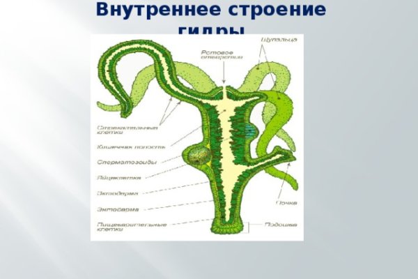 Кракен зеркало на сайт