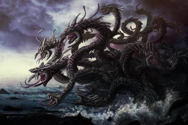 Kraken onion link
