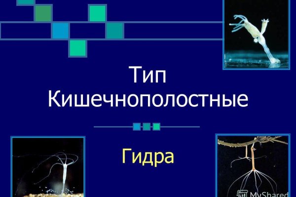 Даркнет сайт скачать