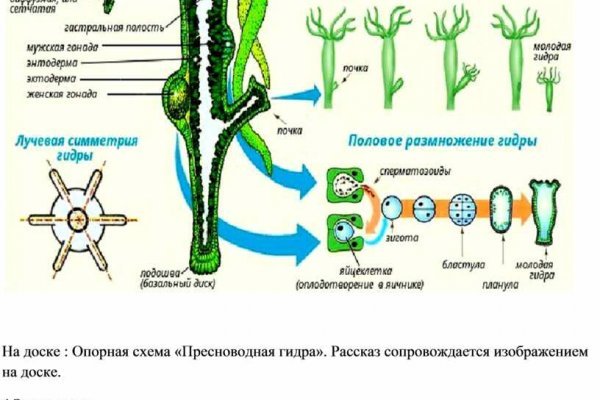 Что такое кракен наркотик