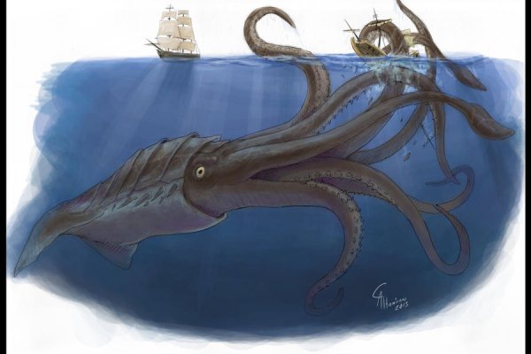 Кракен актуальная ссылка kraken torion net