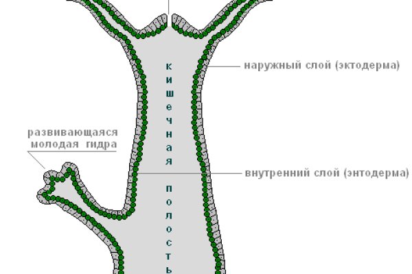 Кракен лого маркетплейс